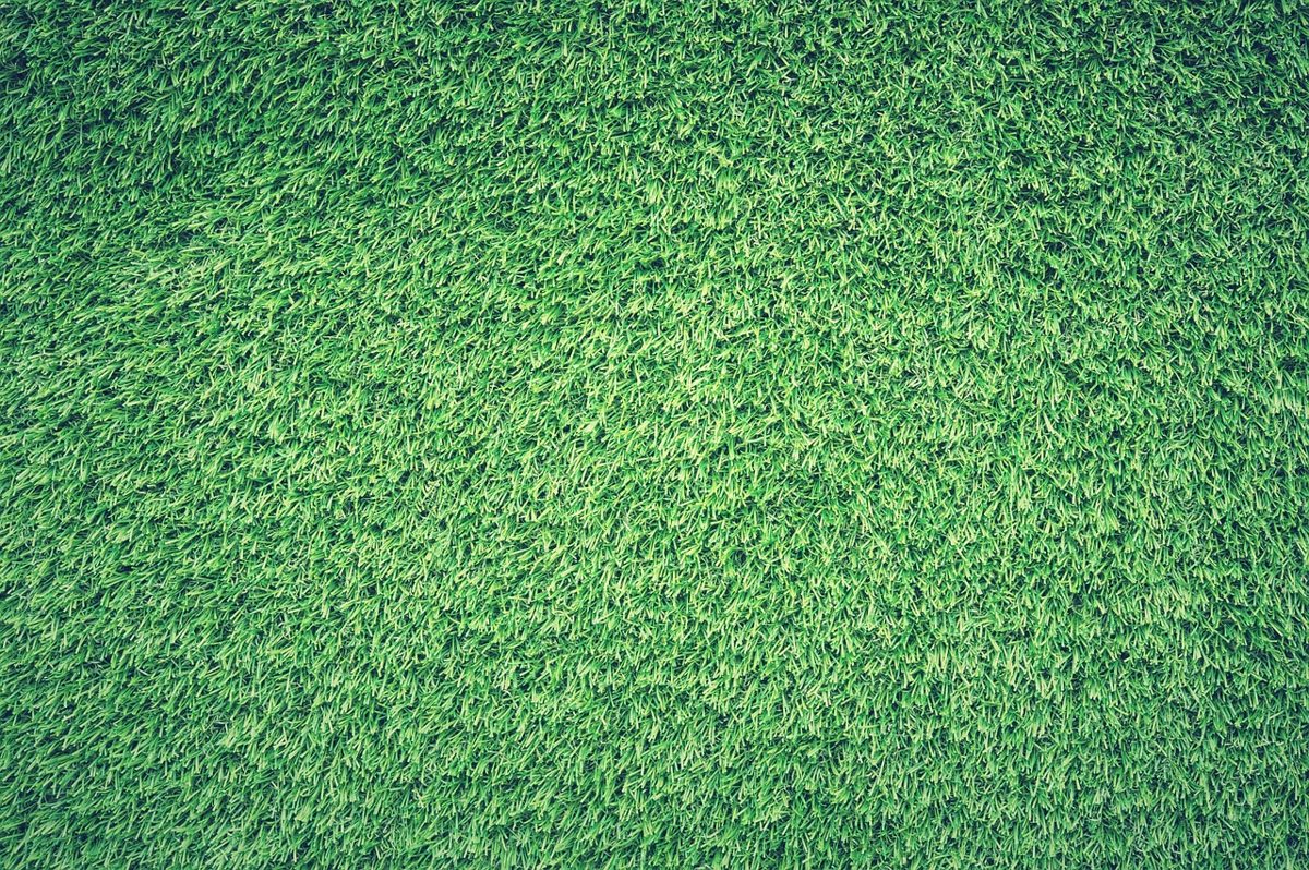 field, 4k wallpaper, free background, grass, wallpaper hd, laptop wallpaper, green, free wallpaper, nature, lawn, textur