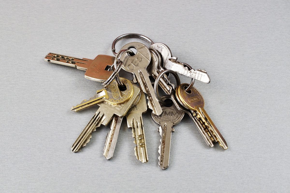 key, keychain, door key, house keys, close up, locking system, beard key, close, shut off, key, key, key, key, keychain,