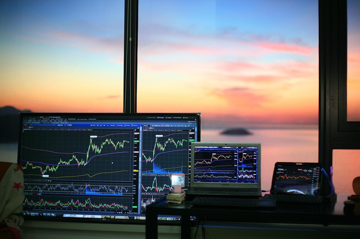 stock trading, investing, stock market, forex, finance, money, crypto, bitcoin, shiba, stock market, stock market, stock