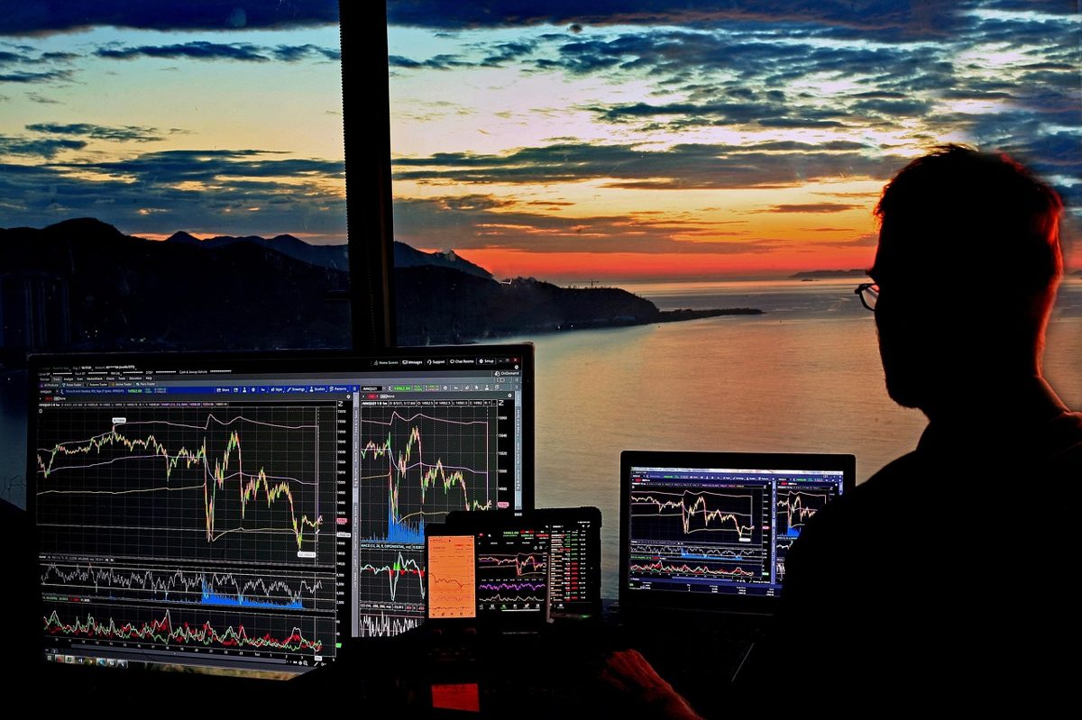 stock trading, investing, stock market, forex, finance, money, crypto, bitcoin, shiba, station, stock market, stock mark