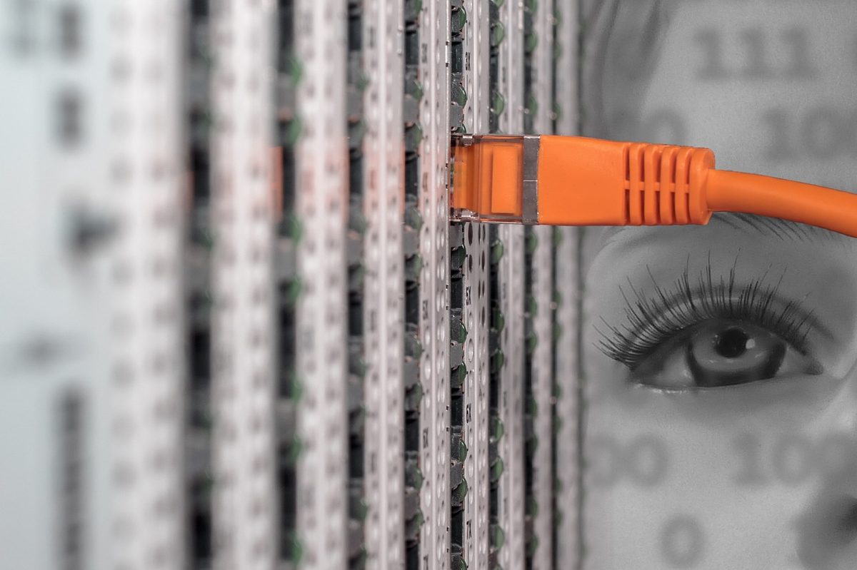 it, server, server cabinet, network, cable, patch cord, network cable, rj45, data processing, lan, network plug, connect